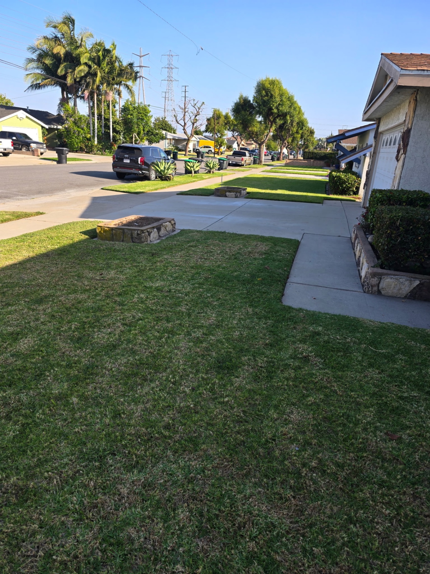 A row of manicured front lawns, finished and edged to the curb