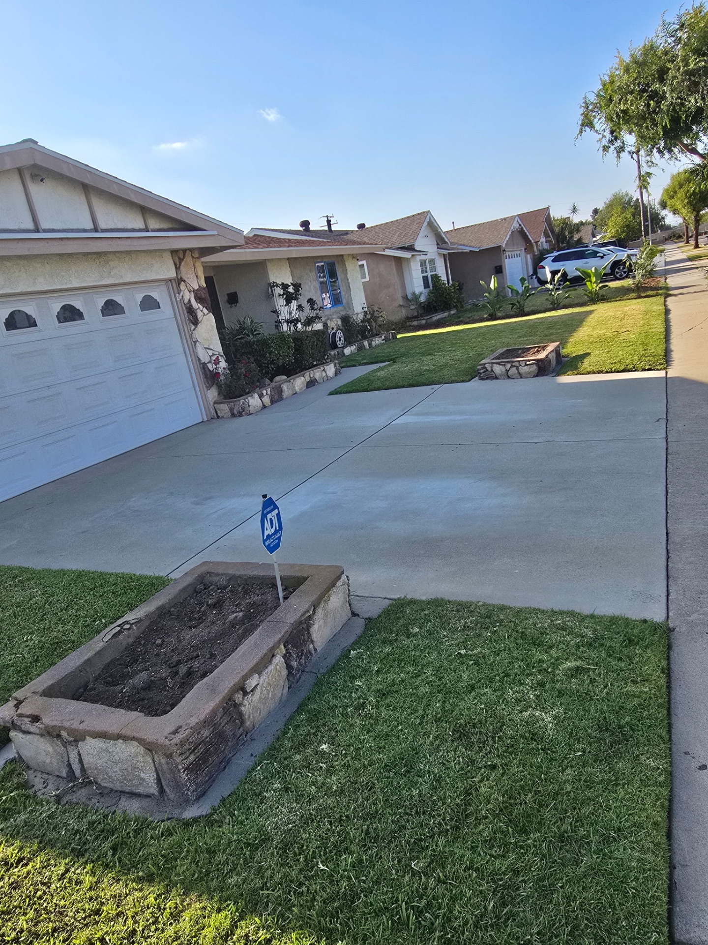 Fresh sod laid across the front lawn at golden hour