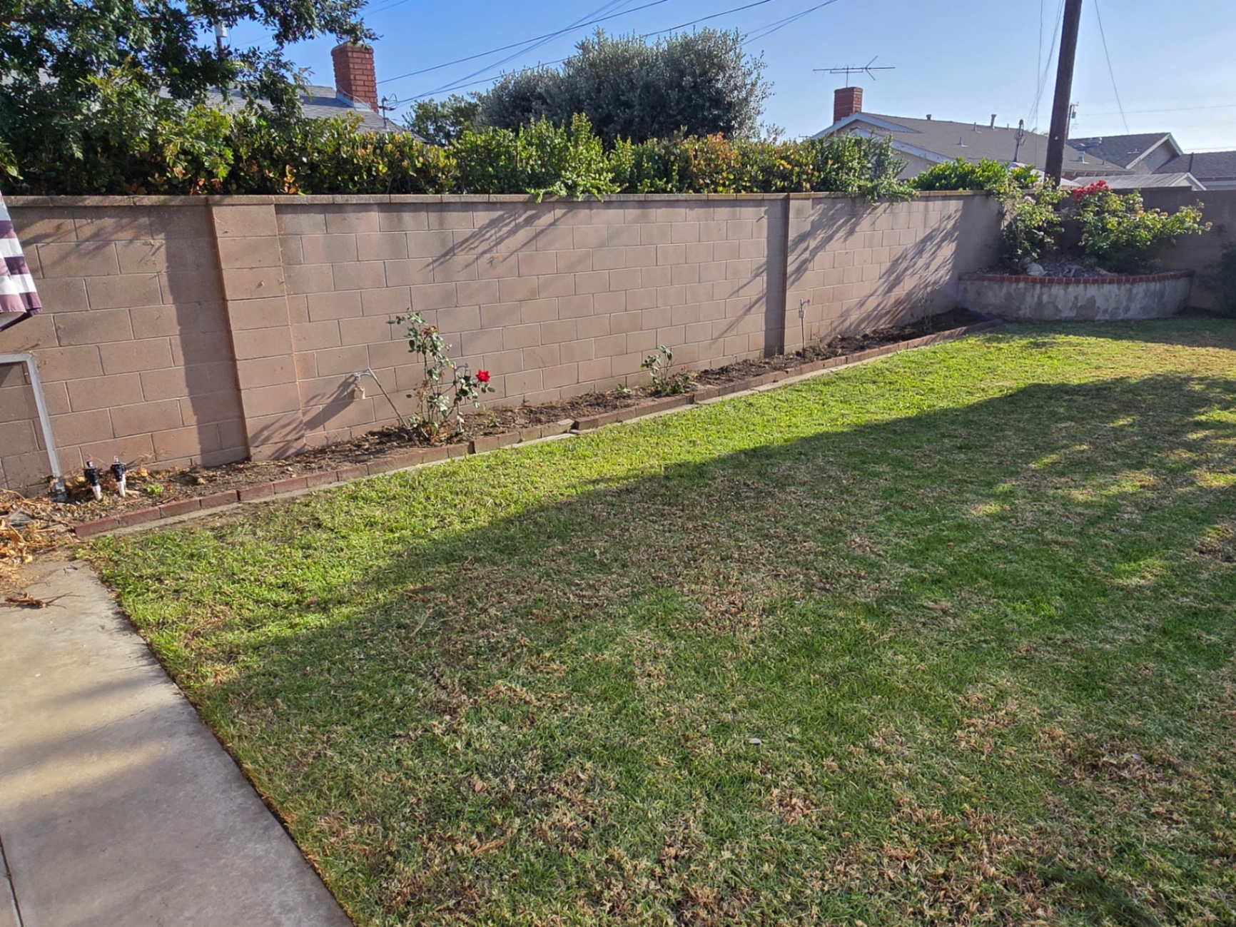 Back lawn cut clean with a fresh planting bed along the wall